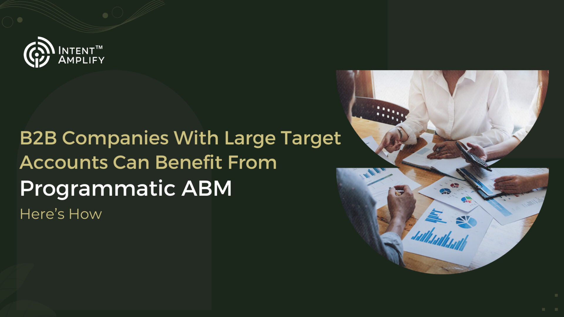 B2B Companies With Large Target Accounts Can Benefit From Programmatic ...