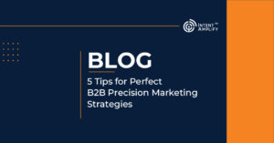 5 Tips for Perfect B2B Precision Marketing Strategies