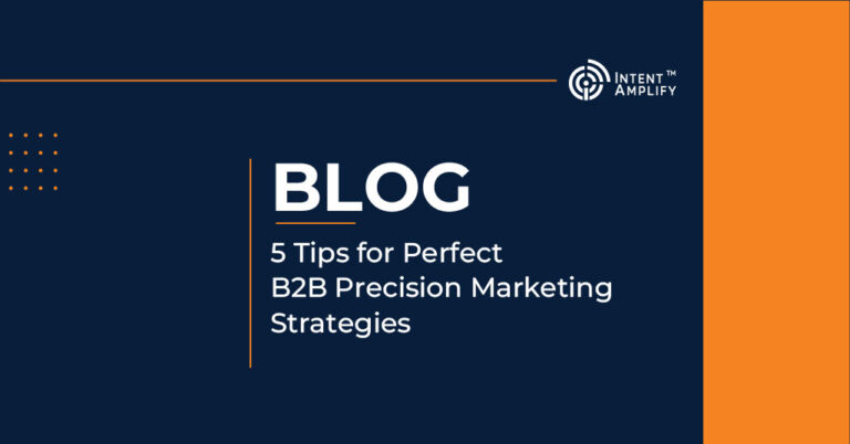 5 Tips for Perfect B2B Precision Marketing Strategies